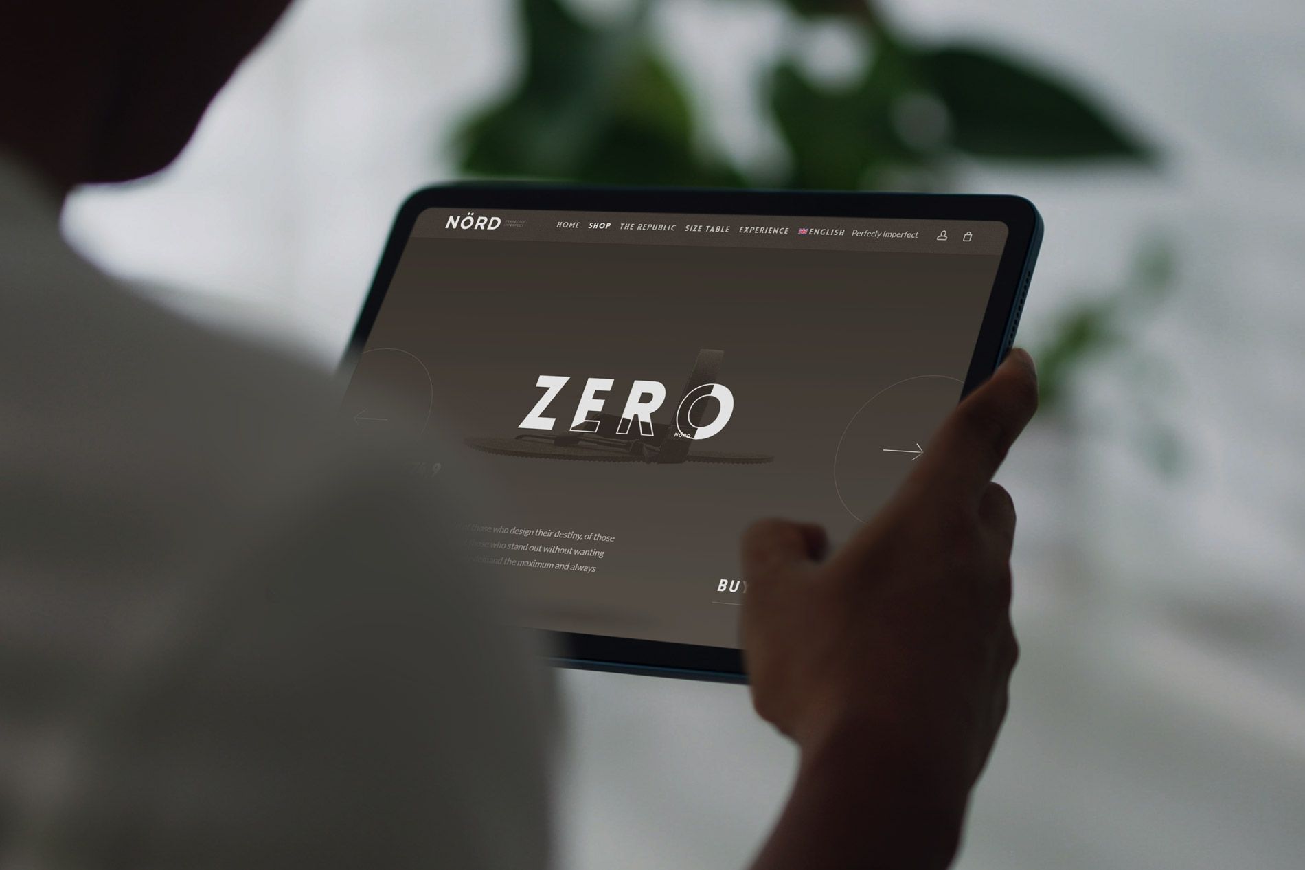 Estudio de diseño gráfico en Valencia, Servicio de Branding, Página web