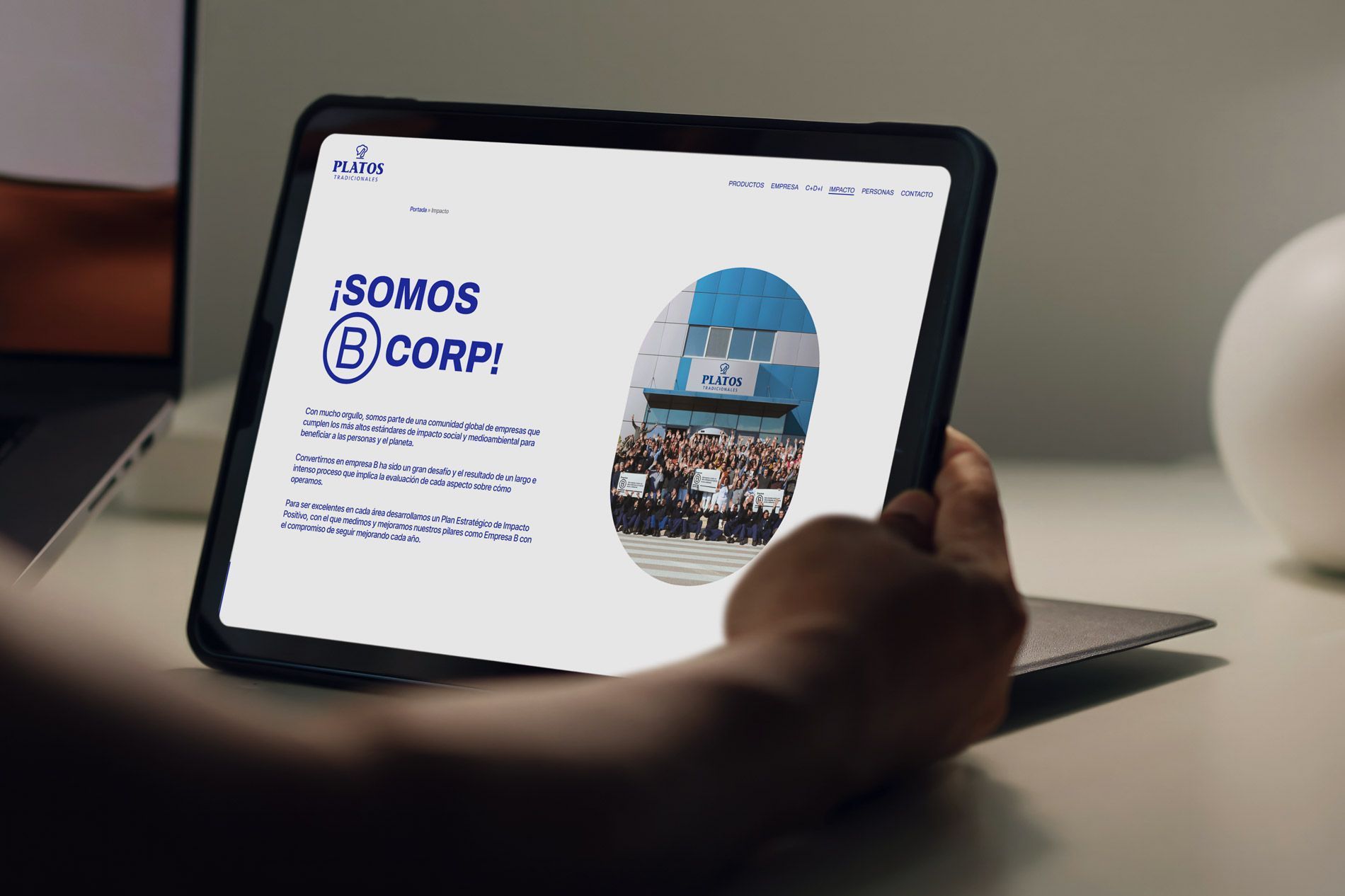 Diseño web Valencia, desarrollo web Platos