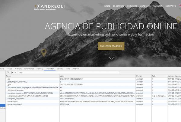 Cómo saber cuales son los Cookies de mi página web