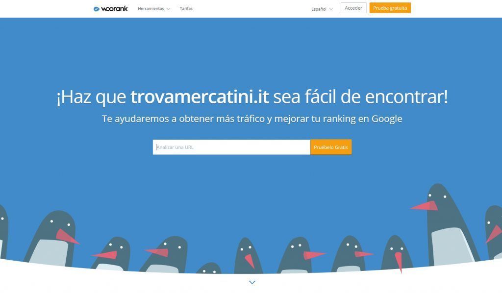 Diseño de páginas web, SEO, Woorank