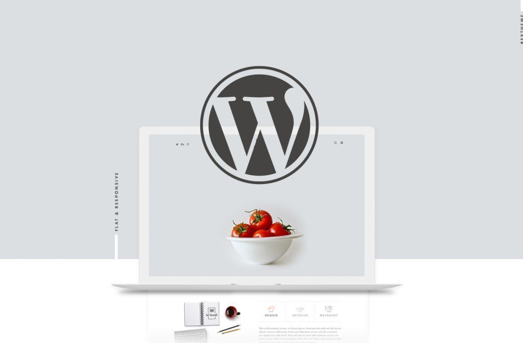 Diseño de páginas web, Wordpress